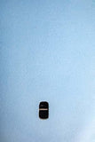 Bred to Shred 8ft Softboard - The Surfboard Warehouse Australia