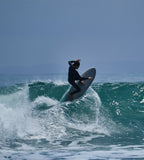 BOA CONSTRICTOR - SOFTBOARD - The Surfboard Warehouse Australia
