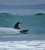 BELLIED SEA SNAKES - SOFTBOARD - The Surfboard Warehouse Australia