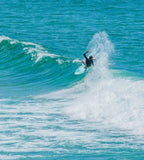 FLYING FISH -CLEAR SKIN - FUNBOARD - The Surfboard Warehouse Australia