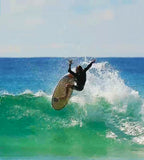 ECO BEAN II FUNBOARD - The Surfboard Warehouse Australia
